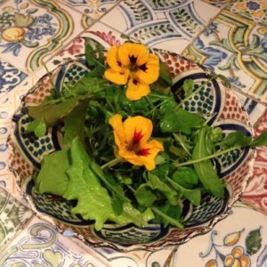 salad leaves from La rosilla